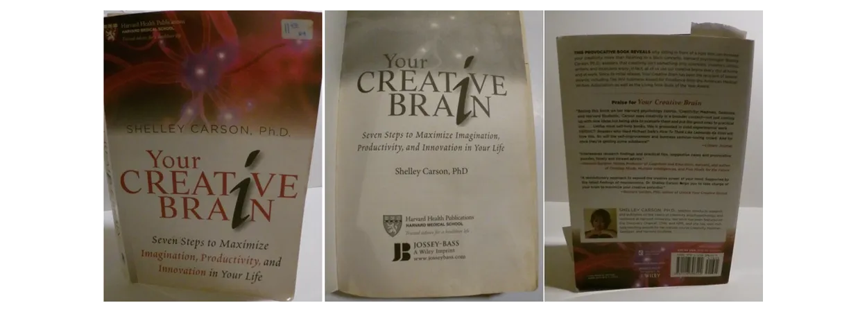 Your Creative Brain by Shelley Carson Front and Back cover banner 