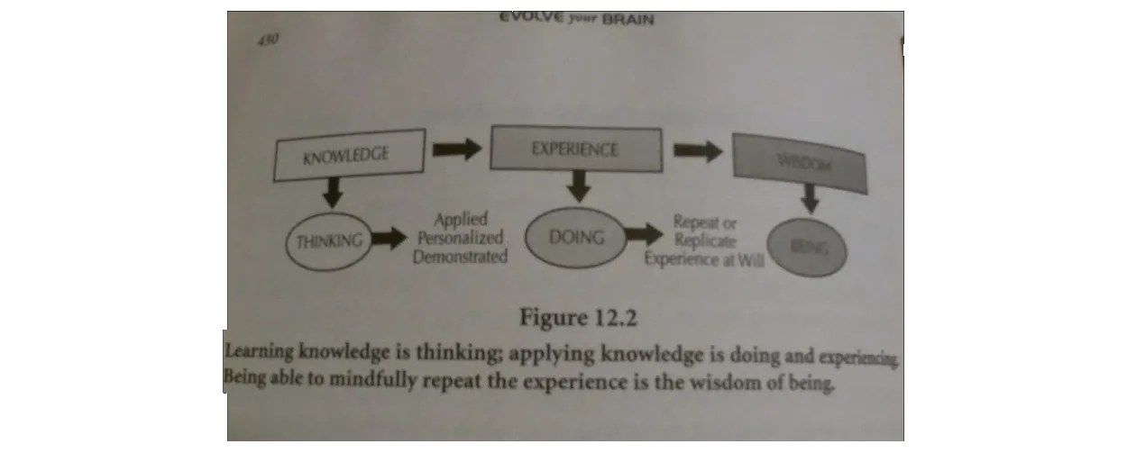 Figure 12-2 in Evolve Your Brain page 430
